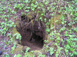 Вход в пещеру, май 2009